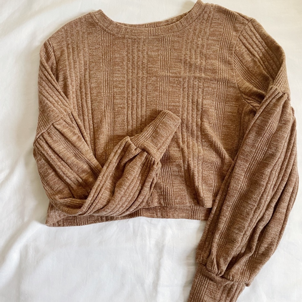 SHEIN tan long sleeve crop